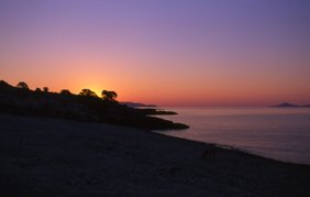 Dawn beach scene